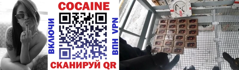 где найти наркотики  Острогожск  Cocaine Эквадор 