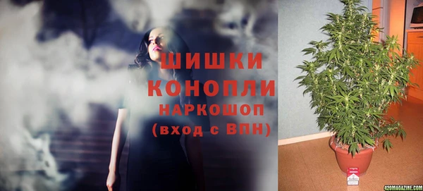 сатива Богородицк