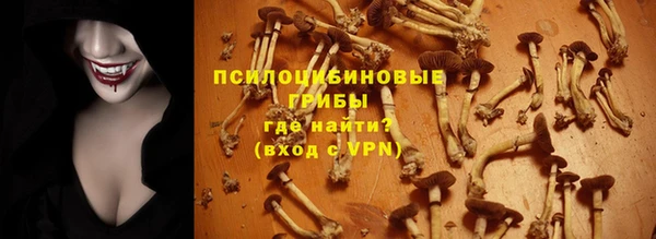 мдпв Богородск