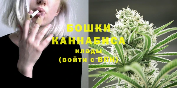 сатива Богородицк