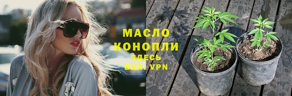 сатива Богородицк