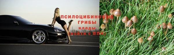 сатива Богородицк