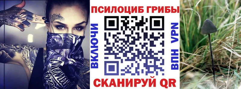 kraken ONION  Острогожск  Галлюциногенные грибы ЛСД 