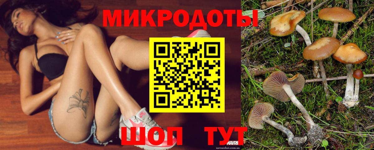 Псилоцибиновые грибы Psilocybine cubensis  Вход с VPN  Псилоцибиновые грибы Psilocybine cubensis  Острогожск 